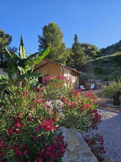 Domaine Du Chene Ξενοδοχείο Campagnan Εξωτερικό φωτογραφία