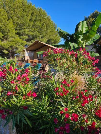 Domaine Du Chene Ξενοδοχείο Campagnan Εξωτερικό φωτογραφία