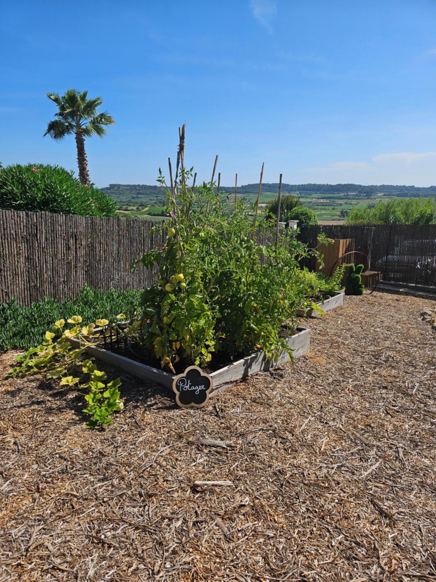 Domaine Du Chene Ξενοδοχείο Campagnan Εξωτερικό φωτογραφία